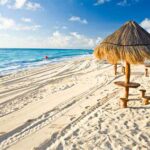 Esta es la íncreible Isla de los Cerdos en Bahamas » 2023