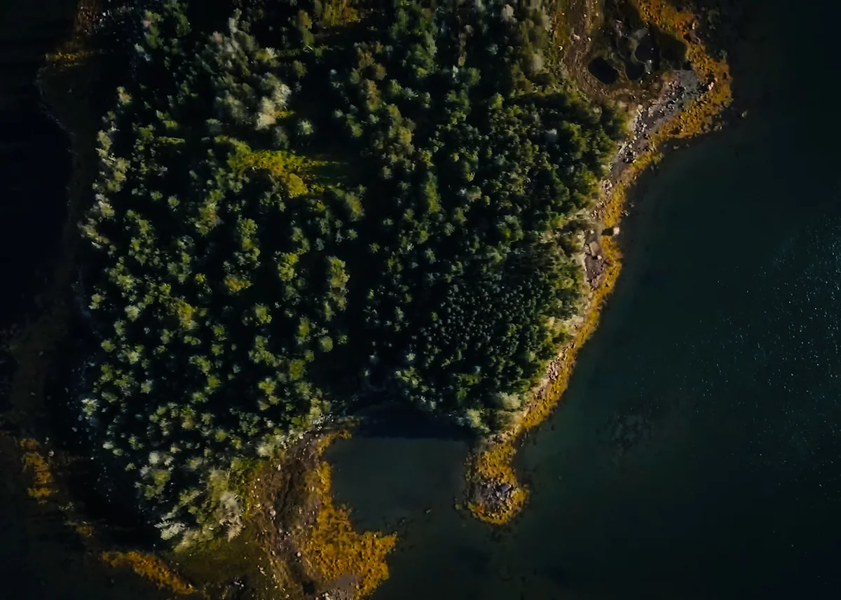 El Porsche Mission X un sueño del fabricante alemán que ya tomó forma » 2023