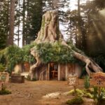 Los mejores lugares de EE.UU. para disfrutar del follaje otoñal, los festivales y la diversión »