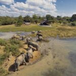 México Alberga el Arco Natural Más Grande del Mundo: Una Visita Obligatoria »