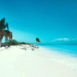 Tres Destinos Imperdibles en el Fin del Mundo »