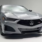 5 Playas Paradisíacas del Mundo Donde Puedes Nadar sin Temor a Tiburones »