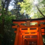 Los Sedanes Premium Híbridos que Marcan Tendencia »