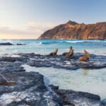 5 Lugares para Explorar Maravillas Bajo el Agua o Sobre las Olas »