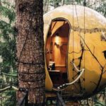 Donde el Brillo Encuentra el Valor »