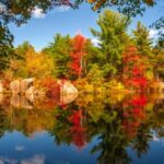 Mejores rutas de vendimia en Europa para en octubre »