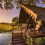 5 destinos que ofrecen los mejores tours en tren vintage de lujo »